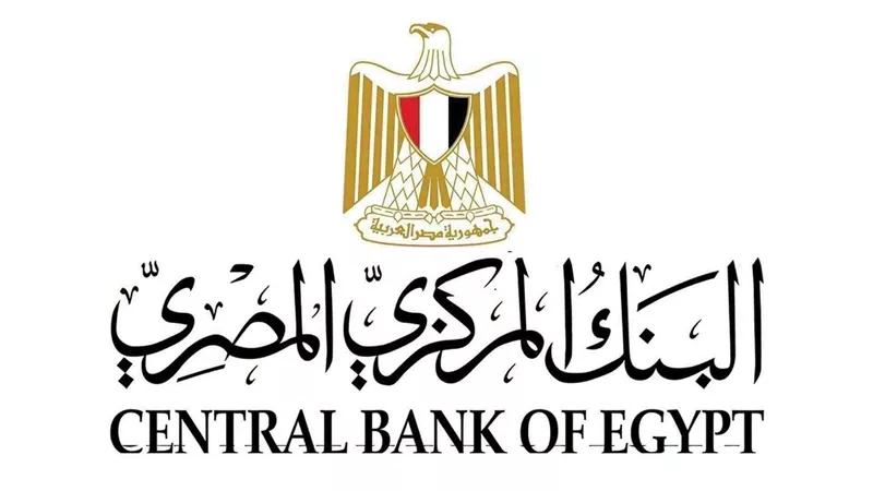البنك المركزي المصري يطلق البوابة الإلكترونية للجنة الاستقرار المالي الإفريقية بالتعاون مع جمعية البنوك المركزية الإفريقية