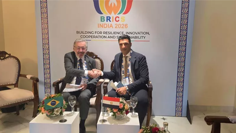 وزير الصناعة يبحث شراكات صناعية مع البرازيل والصين في البريكس