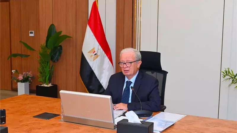 «حسين عيسى» يعتمد موازنة «القابضة الكيماوية» بإيرادات مستهدفة 30 مليار جنيه