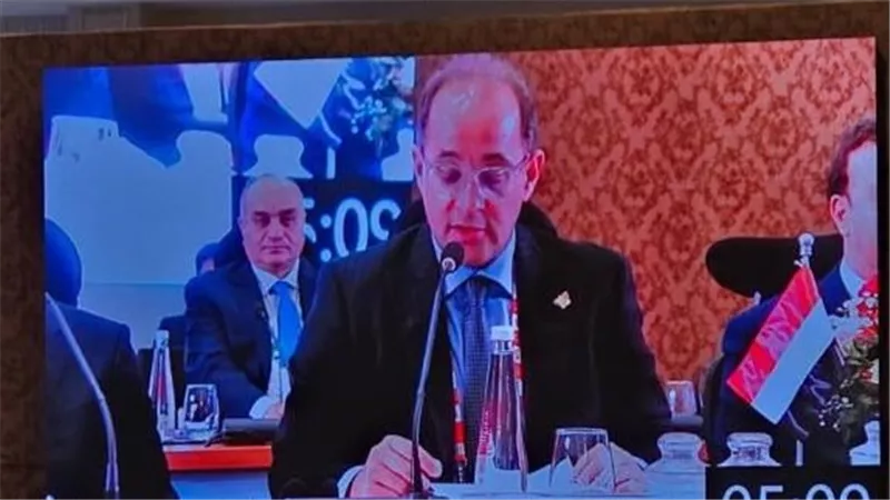 وزير المالية:نتطلع إلى نظام مالى عالمى أكثر استجابة لأولويات النمو والتنمية بالدول الناشئة