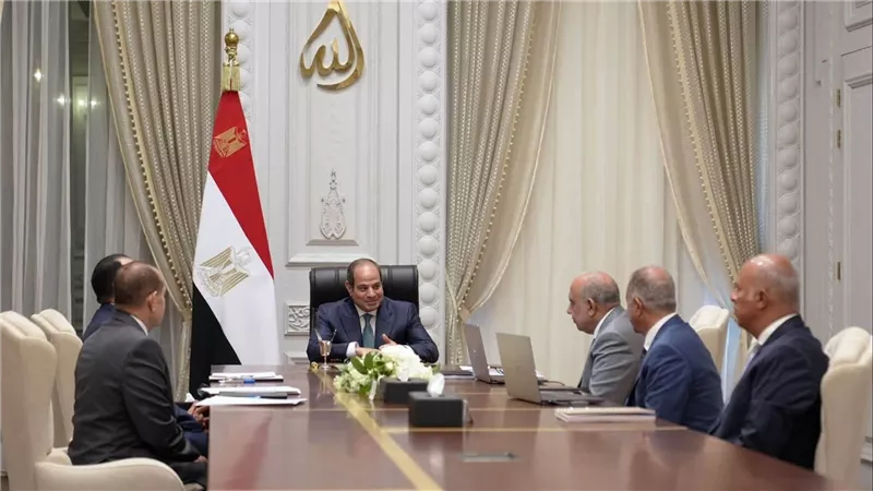 السيسي يوجه بدعم التصنيع المحلي لمهمات الطاقة الجديدة والمتجددة والتوسع في تخزين الكهرباء