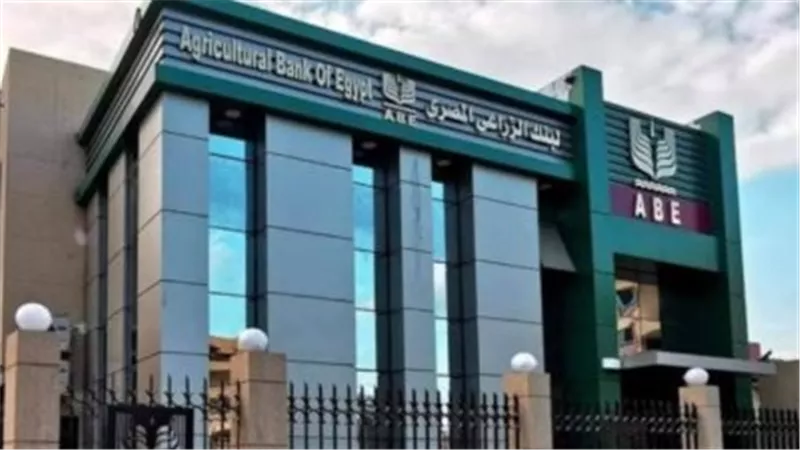 «البنك الزراعي» : توريد 720 ألف طن قمح بقيمة 12 مليار جنيه
