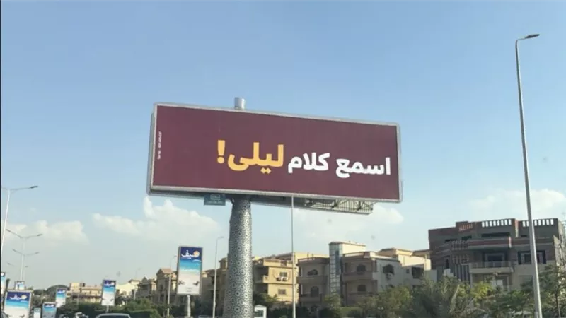 وأخيرًا عرفنا مين «ليلى» اللي مصر كلها بتتكلم عنها.. «سيلفر سكرين» تكشف الحقيقة بعد حملة «اسمع كلام ليلى»