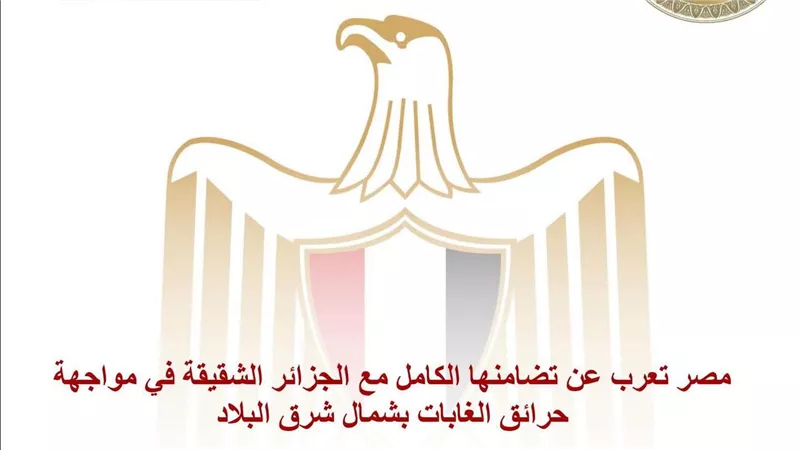 مصر تعرب عن تضامنها الكامل مع الجزائر الشقيقة في مواجهة حرائق الغابات بشمال شرق البلاد