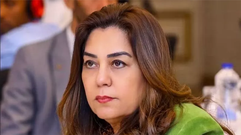 «التنمية المحلية والبيئة»: إنهاء 45 طلبًا بباب الشعرية وغلق وتشميع 12 محلًا بوسط القاهرة وإصدار 150 نموذج تصالح بالمرج
