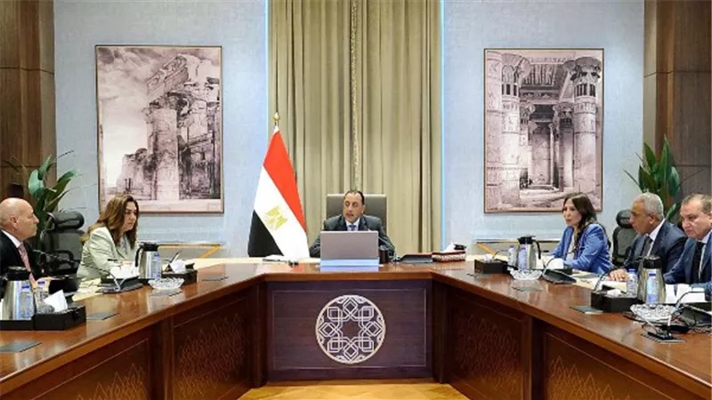 بتوجيهات رئاسية.. الحكومة تبدأ تنفيذ مشروع «تخضير القاهرة» وتشجير الدائري والمحاور الرئيسية