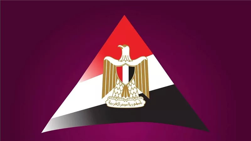 «معلومات الوزراء»: مصر ثاني أكبر سوق أفريقي في إضافات الطاقة الشمسية المتوقعة 2026