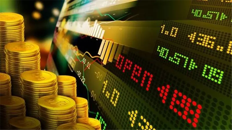 «بي آي جي» تقر عدم توزيع أرباح 2025 بسبب الخسائر.. و85 ألف جنيه مكافأة شهرية لرئيس مجلس الإدارة