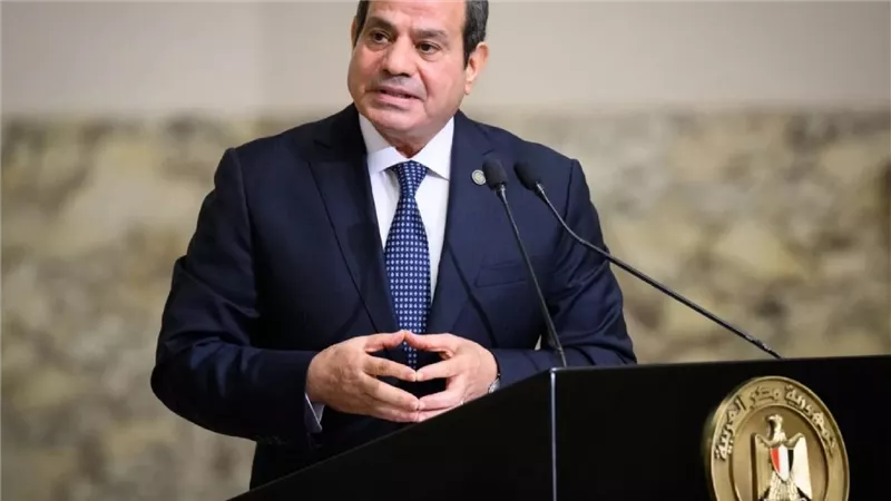 السيسي يستقبل عمار الحكيم ويؤكد دعم مصر لأمن واستقرار العراق ووحدة أراضيه
