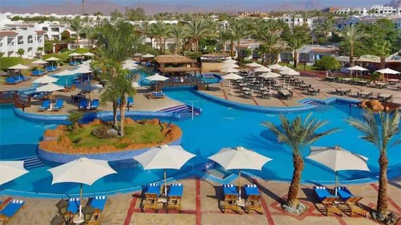 أرباح «ماريديف» تقفز 346.5% إلى 48.6 مليون دولار خلال النصف الأول من 2026