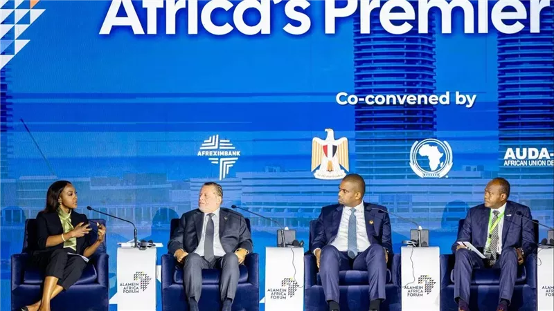 محافظ البنك المركزي: 10% من السيولة المصرفية الإفريقية للاستثمار داخل القارة