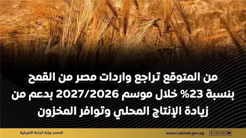 تحسن مؤشرات الإنتاج الزراعي في مصر خلال موسم 2026/2027 وتراجع متوقع لواردات القمح