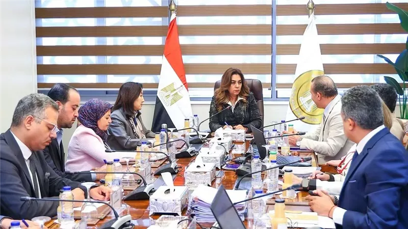 وزيرة التنمية المحلية والبيئة تتابع تنفيذ مشروعات التنمية الاقتصادية بـ4 محافظات في صعيد مصر