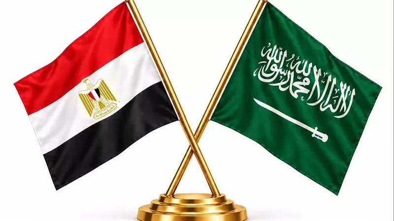الأوقاف تدين الاعتداءات الحوثية على السعودية وتؤكد: أمن المملكة جزء من الأمن القومي المصري