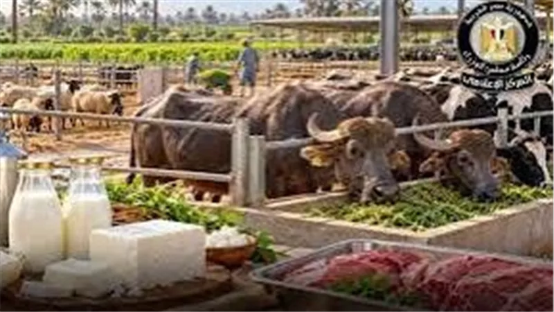 الحكومة تنفي تراجع أعداد الماشية بأكثر من 50%: ارتفعت إلى 8.    