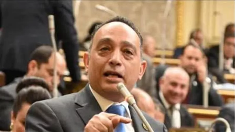 فريدي البياضي يطالب الحكومة بكشف حساب مكافحة الفساد بعد تراجع ترتيب مصر عالميًا