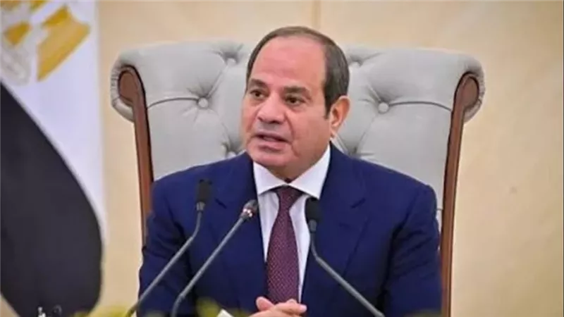 مجلس الدفاع الوطني يعلن تضامن مصر الكامل مع السعودية ويدعم أمنها واستقرارها