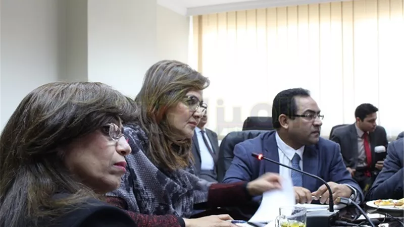 «التخطيط»: إطلاق خطة التنمية 2017 - 2018 على رأس أولويات الوزارة