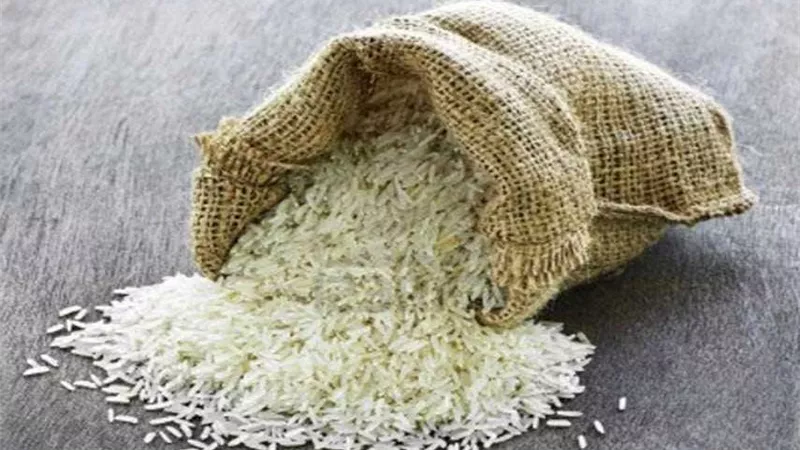«التموين»: 50 شركة تبدأ توريد الأرز بـ6300 جنيه للطن