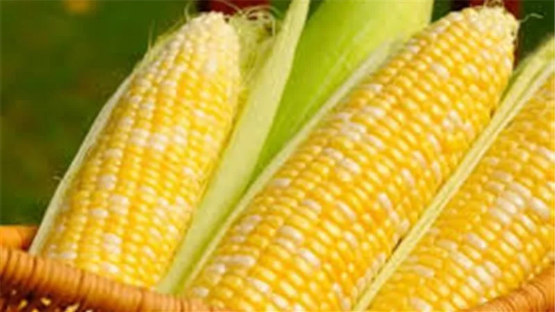 عرض من « كايرو ثري» لشراء حصة «مصر المالية» بـ«الوطنية للذرة»