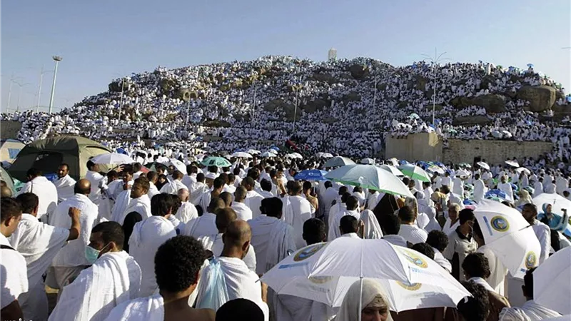 «أزمة الحج» تتصدر مناقشات أعضاء«غرفة السياحة».. الاثنين