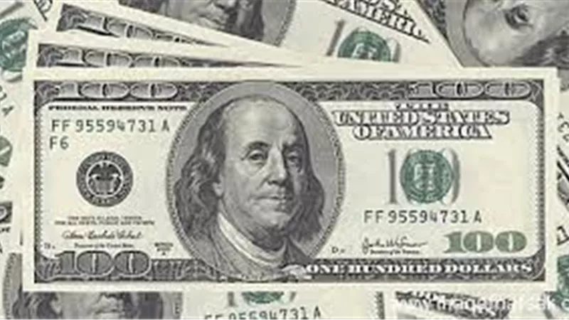 استقرار سعر صرف الدولار بالبنوك المصرية