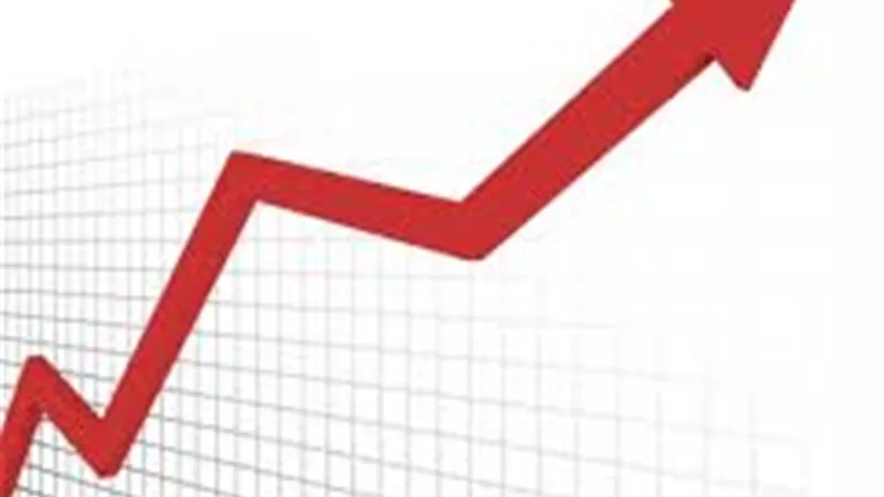 سهم «بايونيرز» يواجه 10.77 جنيه.. اليوم