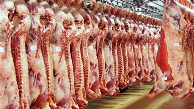 «القصابين»: 40% تراجعاً بحجم المعروض من اللحوم البلدية بالأسواق