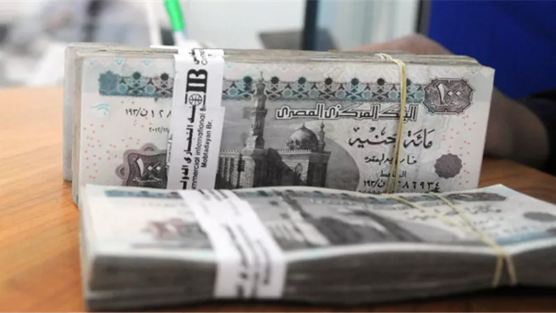 بالفيديو.. برامج الحماية الاجتماعية بالموازنة الجديدة