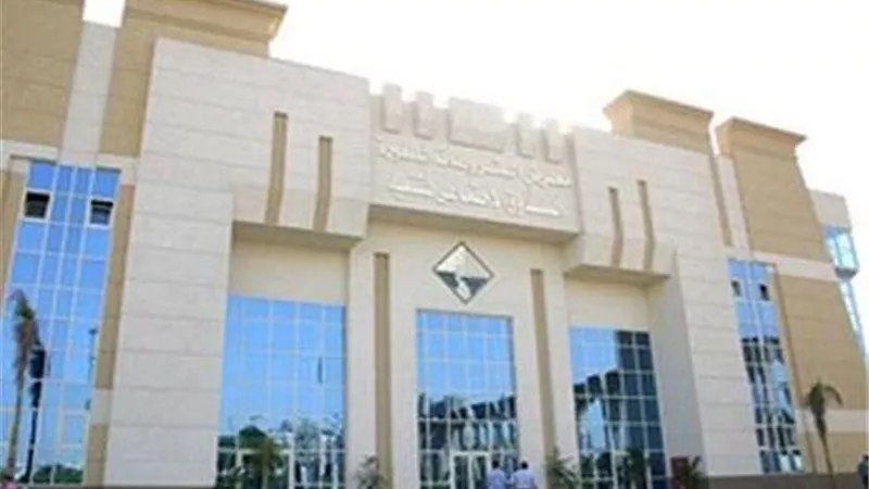 «الصندوق الاجتماعي»: 355 مليون جنيه لتمويل المشروعات الصغيرة بأسوان