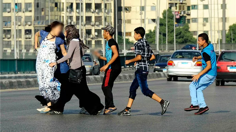 شاهد.. 