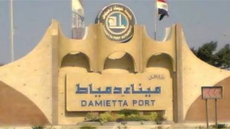 جمارك دمياط تحبط تهريب هواتف محمولة 