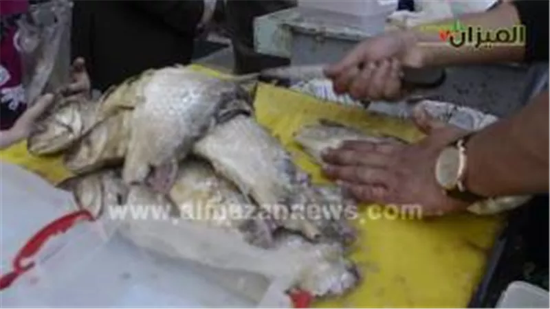 بالفيديو.. إقبال ضعيف على شراء الفسيخ