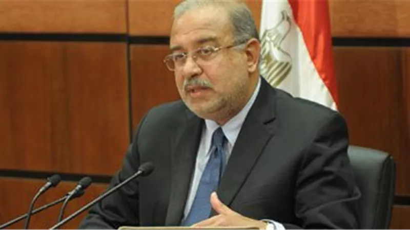 «الوزراء» يوافق على ضمان «المالية» لالتزامات شركة نقل الكهرباء