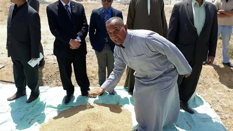 بالصور.. وزير التموين: نستهدف توريد 4 ملايين طن قمح خلال الموسم الحالي