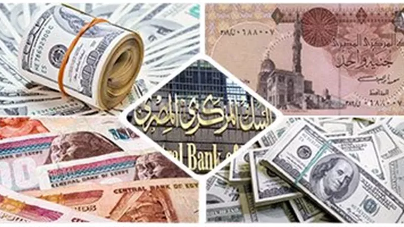 خبير مصرفي يحذر من تعليمات «صندوق النقد»