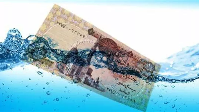 بعد 180 يومًا من القرار.. «حسانين»:«تعويم الجنيه» فشل في إنقاذ السياحة
