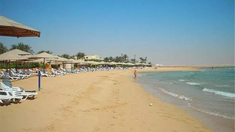 عمومية «جولدن كوست» تُقر توزيع 0.83 جنيه نقدًا
