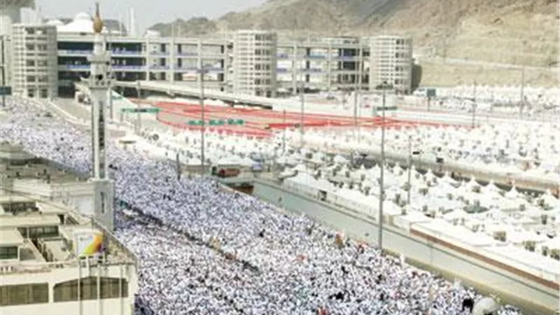 «السياحة الدينية»: زيادة دورات المياه بمخيمات الحجاج 