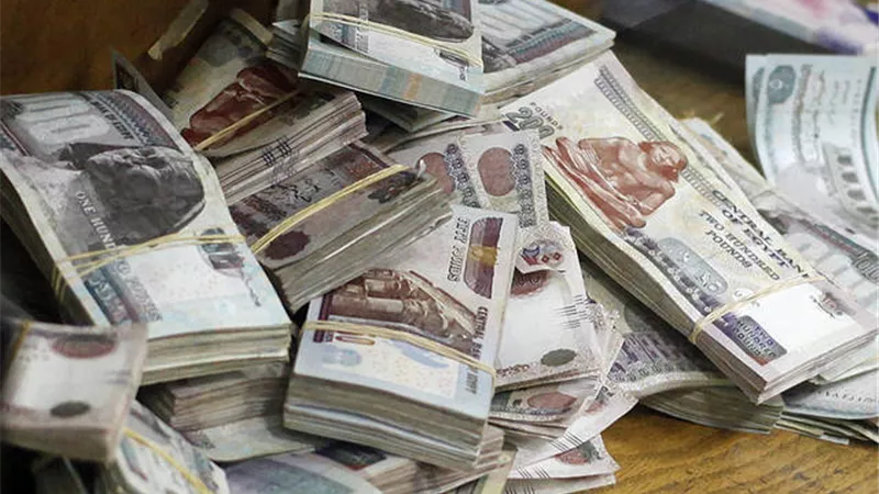 180.3 % ارتفاعًا بأرباح «ثمار» خلال 3 أشهر