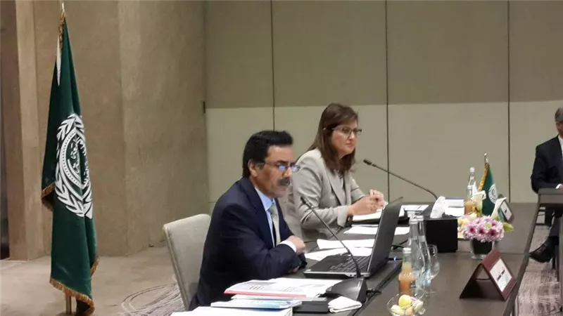 بدء المجلس التنفيذي لمنظمة التنمية الإدارية العربية بمشاركة وزيرة التخطيط
