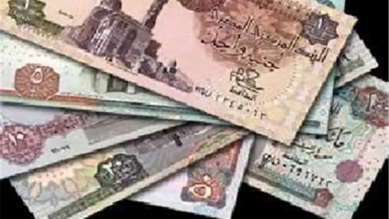المركزي والمالية والبرلمان: «تغيير العملة المحلية.. إشاعات»