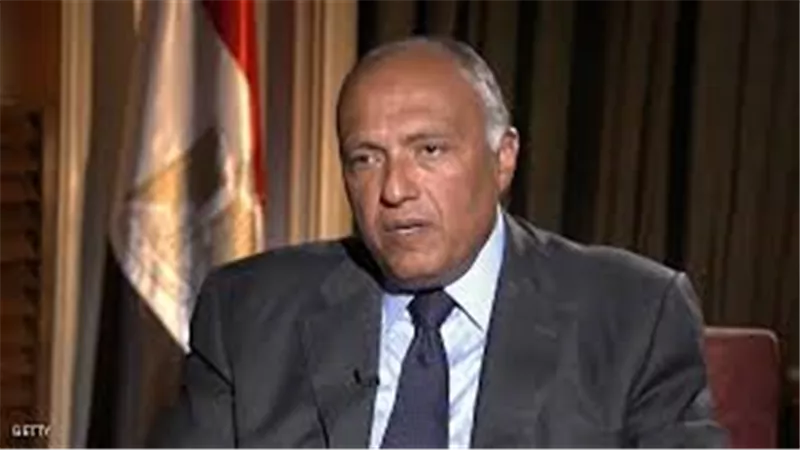 وزير خارجية بولندا يتابع مع سامح شكري التحقيقات في وفاة السائحة البولندية