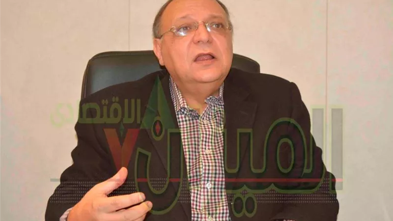مصطفى إبراهيم: أفريقيا ترى مصر «قائدًا» للقارة السمراء