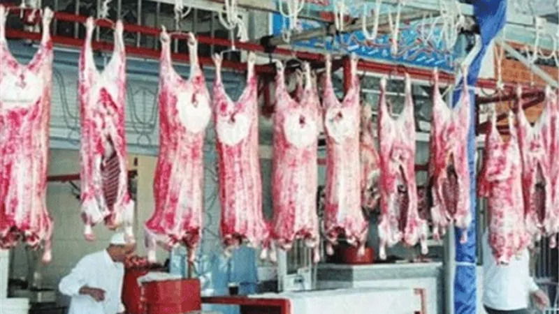 القصابين: 30% تراجعًا في مبيعات اللحوم بعد زيادة الأسعار