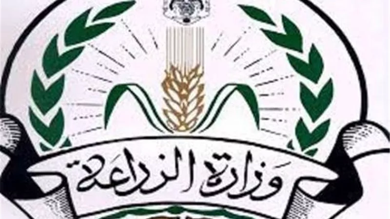 «الزراعة»: تخصيص مساحات لإقامة 1907 مشروعات نفع عام على مستوى الجمهورية 