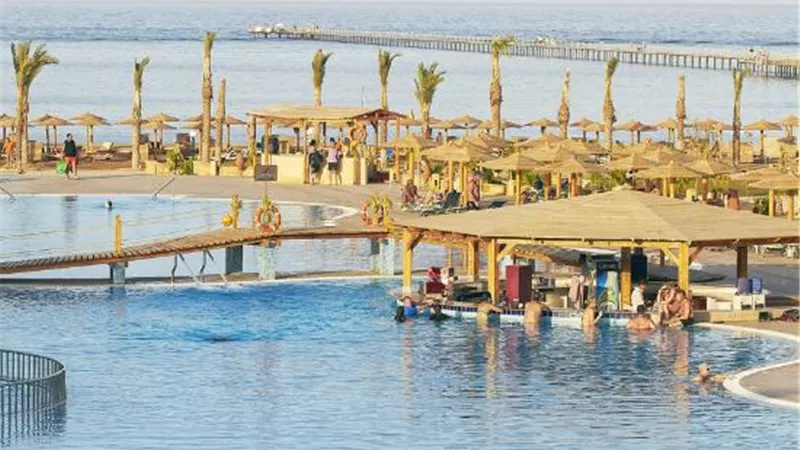 طارق شلبي: 