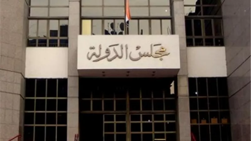 «مجلس الدولة» ينتهي من تعديل قانون «الاستيراد والتصدير»