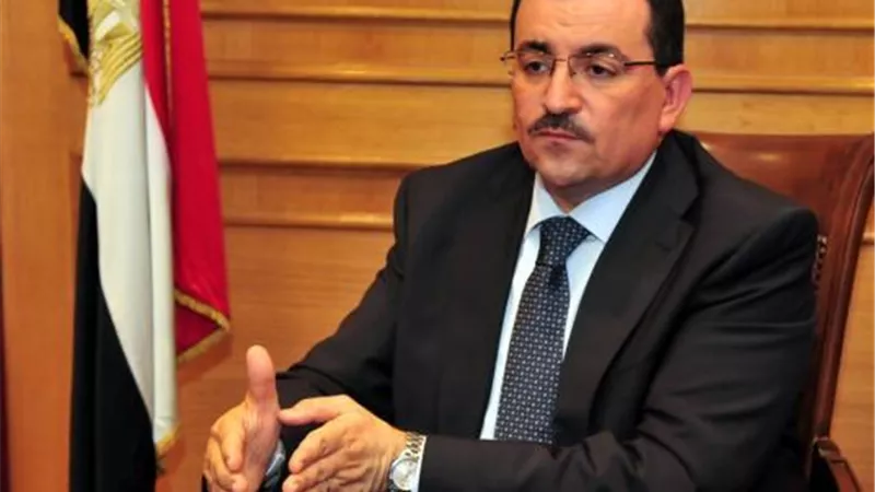 هيكل: قطع العلاقات مع قطر لأنها تأوي الإرهاب