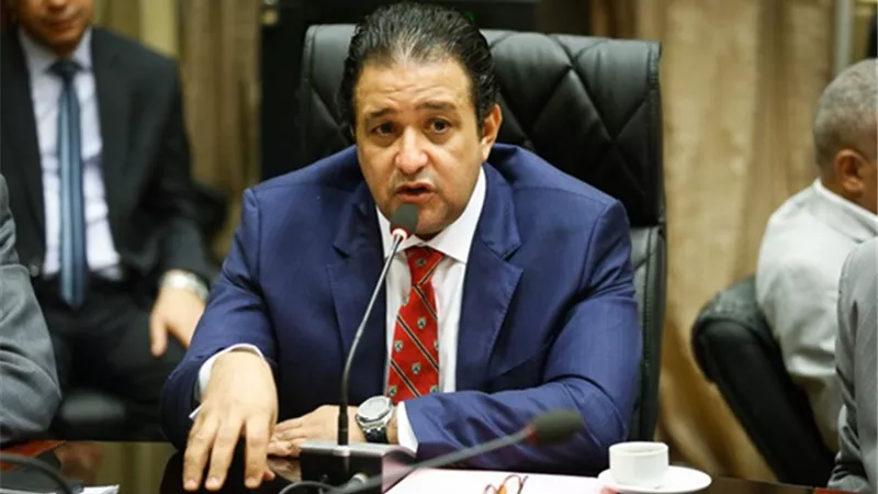 حقوق الإنسان بالنواب: قطع العلاقات مع قطر صفعة على وجه الإرهاب